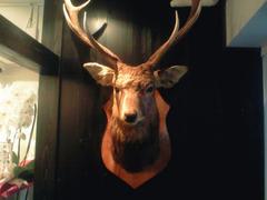 nishiazabu1.jpg