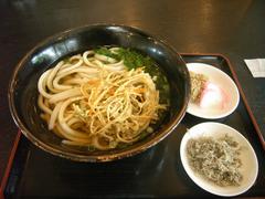 udon_shikoku.JPG